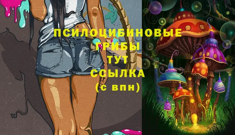 Псилоцибиновые грибы Psilocybe  что такое   Благовещенск 